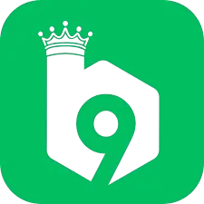 B9 Game